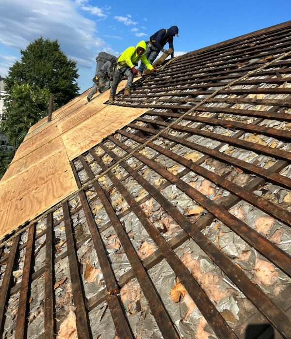 WhatsApp Image 2025-09-05 at 12.24.14